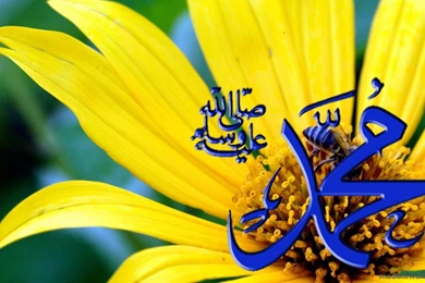 Best Name Of Muhammad Wallpapers
