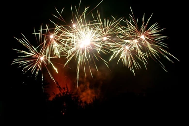 Wallpapers Animation Gif Animated Diwali Fireworks 1024x768 ...