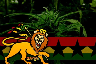 Wallpapers Hd Rasta Lion Reggae Images Socialphy 1024x768 ...