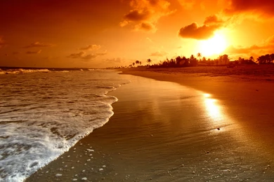 Sea_Beach_Sunrise_Background.jpg?m=1432120802