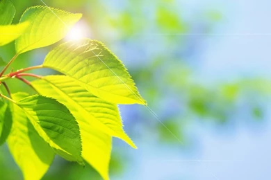 Lcd Wallpapers   Wallpapers Zone