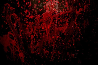 In The Blood   Leonard Lamensdorf Get Book < The Ashdown Diaries ...