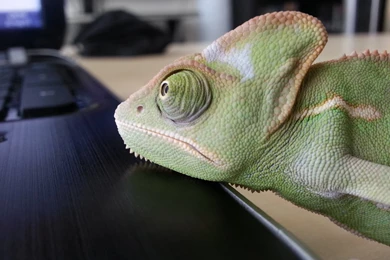 Awesome Opensuse Wallpapers   Courtesy Reddit Front Page ...