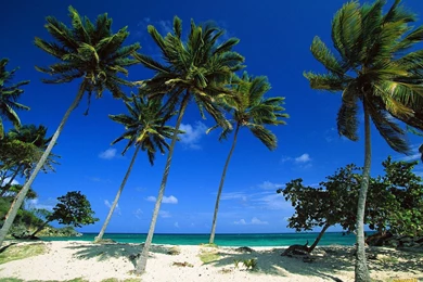 YouWall   Paradise Beach Wallpapers   Wallpaper,wallpapers,free ...