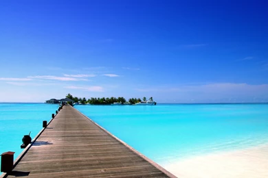 Wallpapers Palm Trees Beach Sea Paradise Desktop Hd Desktop ...