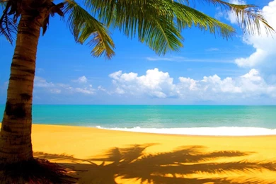 Tropical Paradise Ipad Wallpapers