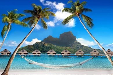 Download Wallpapers Tropical, Paradise, Beach, Palms, Sea, Ocean ...