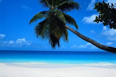 Paradise Beach Wallpapers