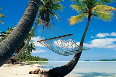 Wallpapers Sandy Beach Paradise Land 1024x768