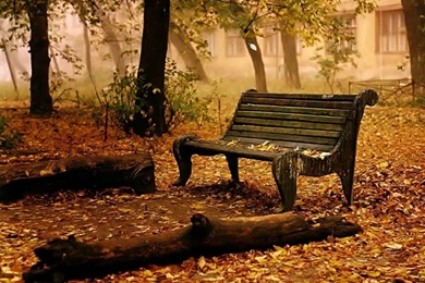 Autumn Background Images   Wallpapers Cave