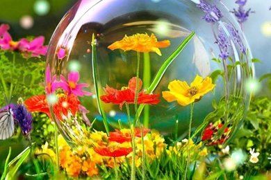 Mobile Wallpapers Hd Download