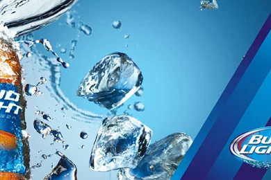 Bud Light Ritas   Beer Margarita   Flavored Beers