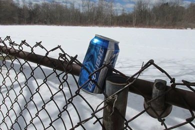 Eminent Bromain: Bud Light Invades The Rockies   The Baffler