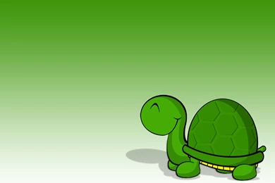 Cute Turtle Wallpapers HD Widescreen 2016 . Best High Resolution ...