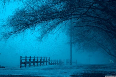 Moscow In The Fog Art Live WInter Wallpapers