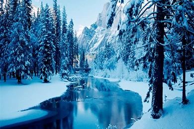 Winter Live Wallpapers   Android Apps On Google Play