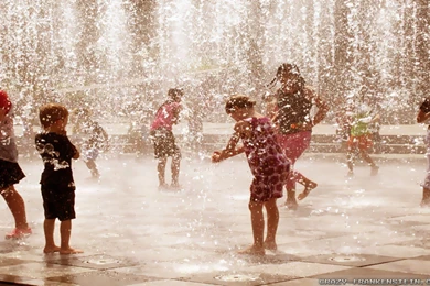 Summer In The City Wallpapers   Crazy Frankenstein