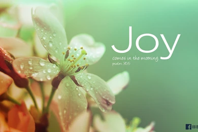 Joy Comes In The Morning