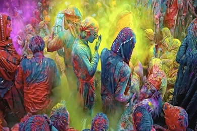 Spring Festival Wallpapers   Crazy Frankenstein