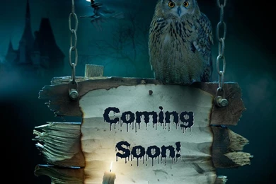 Birds: COMING SOON Halloween Owl Free Desktop Backgrounds For HD 16 ...