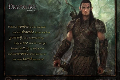 Wallpapers Update: New Dragon Age Origin Wallpapers