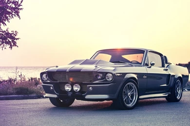 MUSCLE CARS DESKTOP WALLPAPER WALF1025