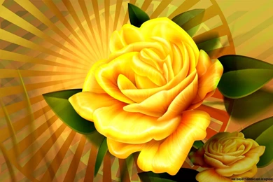 Yellow Flower Wallpapers Free Download For Desktop