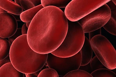 UCL Engineering Doctorate   Bioprocess Engineering Leadership ...