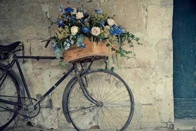 Vintage Computer Wallpapers