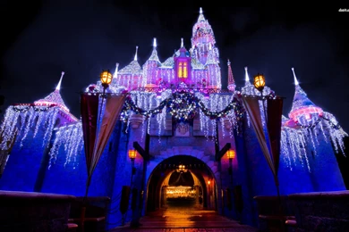 Disneyland Castle Wallpapers HD
