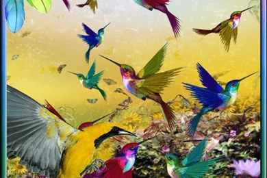 Free Live Wallpapers For Android Mobile   Wallpapers Zone