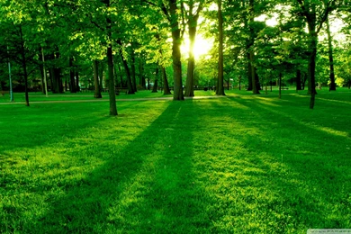 Park_4 wallpaper 1920x1080.jpg