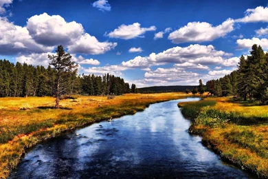 Picturesque Desktop HD (high Definition) Wallpapers   1