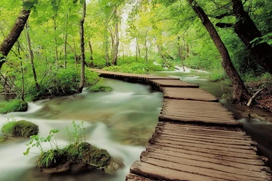 HD Park Pictures Wallpapers