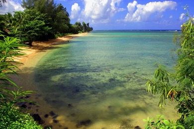 Wallpapers Barbie Nature Wide And Hd High Definition 1024x768 ...