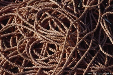 String Backgrounds － Other Wallpapers   Free Download Wallpapers ...