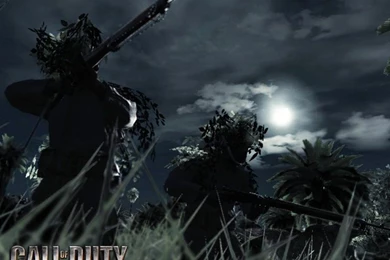 Call Of Duty World At War Wallpapers Flamethrowercall Of Duty World ...