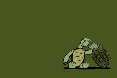 Funny Turtle Wallpapers