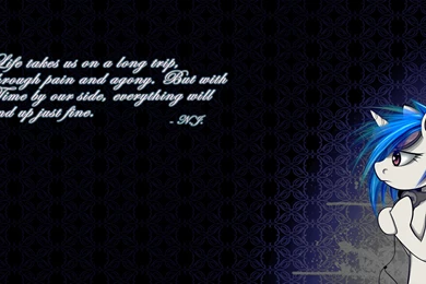 Neat Wallpapers   Wallpapers Cave