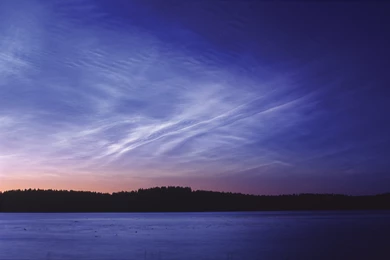 Entries For Tuesday 11 December 2007, 353 Rant And Rave