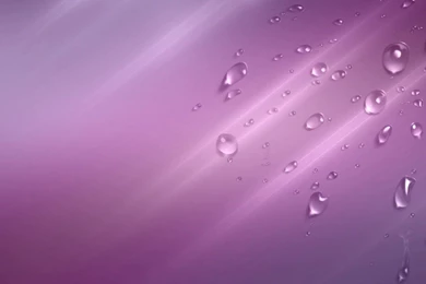 Purple Wallpapers   Android Apps On Google Play