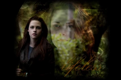 New Moon Twilight 3 Wallpapers From Twilight Series Wallpapers