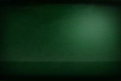 Full Fledged, Customizable Fallout Terminal : Rainmeter