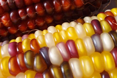 Download 13 Moto E Wallpapers: Fresh HD Full Screen Wallpapers ...