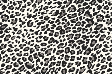 Leopard Print Wallpapers Collection (48+)