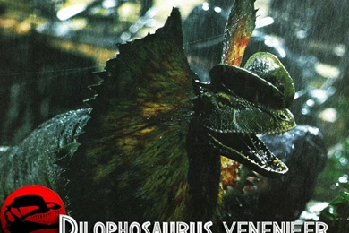 Image   JP Wallpaper part 3 jurassic park 2352562 1024 768.jpg ...