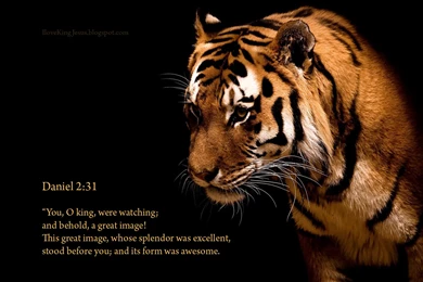 Awesome Tiger Wallpapers   Christian Wallpapers And Backgrounds