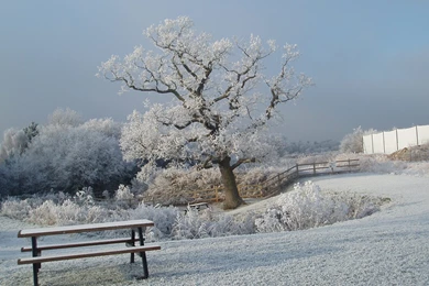 Droitwich Canals Restoration In Pictures   Wallpapers