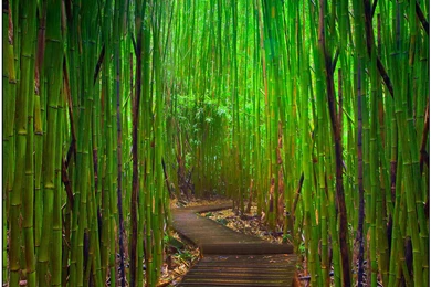 534065_gateway of light hana highway_maui_hawaii_3000x2357_www.Gde Fon.com.jpg