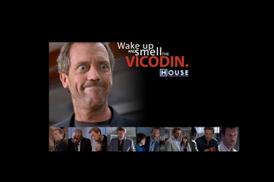 Dr House Hugh Laurie Gregory